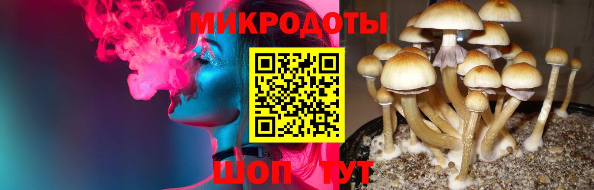 Псилоцибиновые грибы ЛСД Нягань